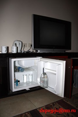 Холодильник и телевизор.