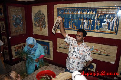 Наш гид, Али, показывает, что такое папирус и что на них изображалось. 
