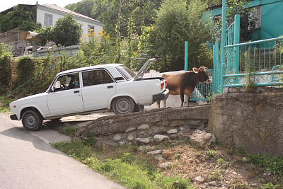 Почти в каждом доме по корове и автомобилю.